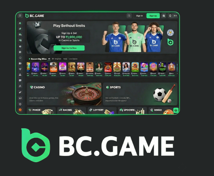 The Ultimate Guide to BC.Game Login Process The Ultimate Guide to BC.Game Login Process